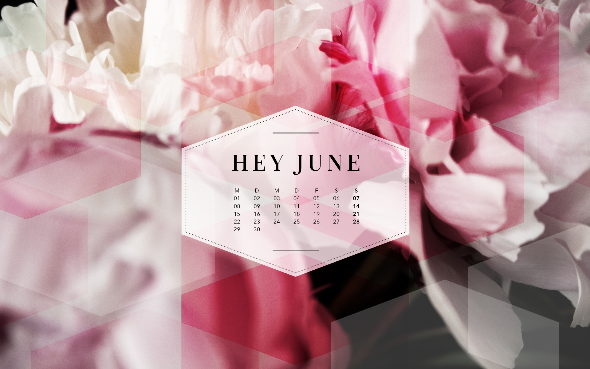 Free Desktop Wallpaper Sammlung Juni 2015 | Pinkepank