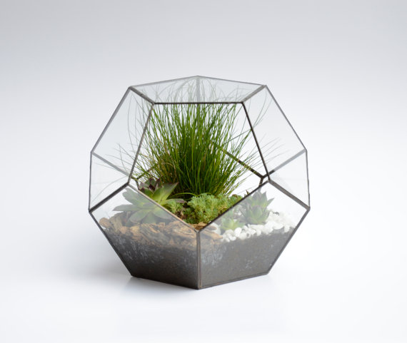 Glas Terrarium NojaGlassDesign | Pinkepank