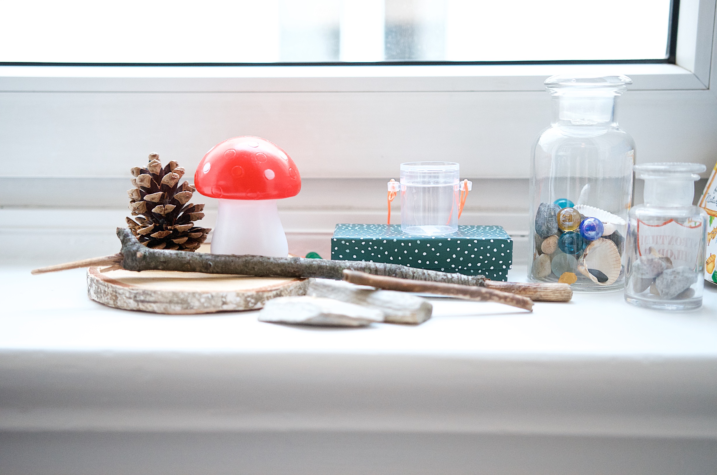 Wald- und Wiesenschätze auf der Fensterbank im Kinderzimmer