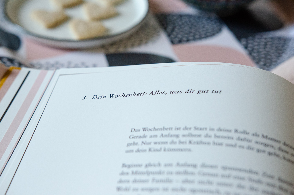 Mutter Werden Dein Begleiter Durch Die Ersten Wochen Nach Der Geburt Das Buch Furs Wochenbett Pinkepank