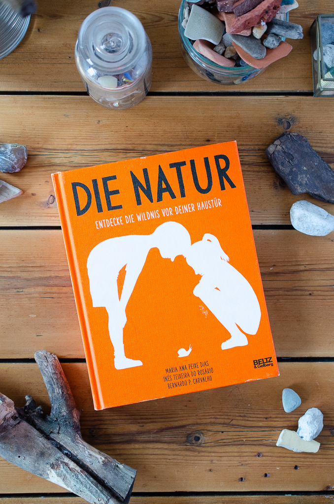 "Die Natur. Entdecke die Wildnis vor deiner Haustür. Ein Buch-Tipp für Kinder und ihre Eltern.