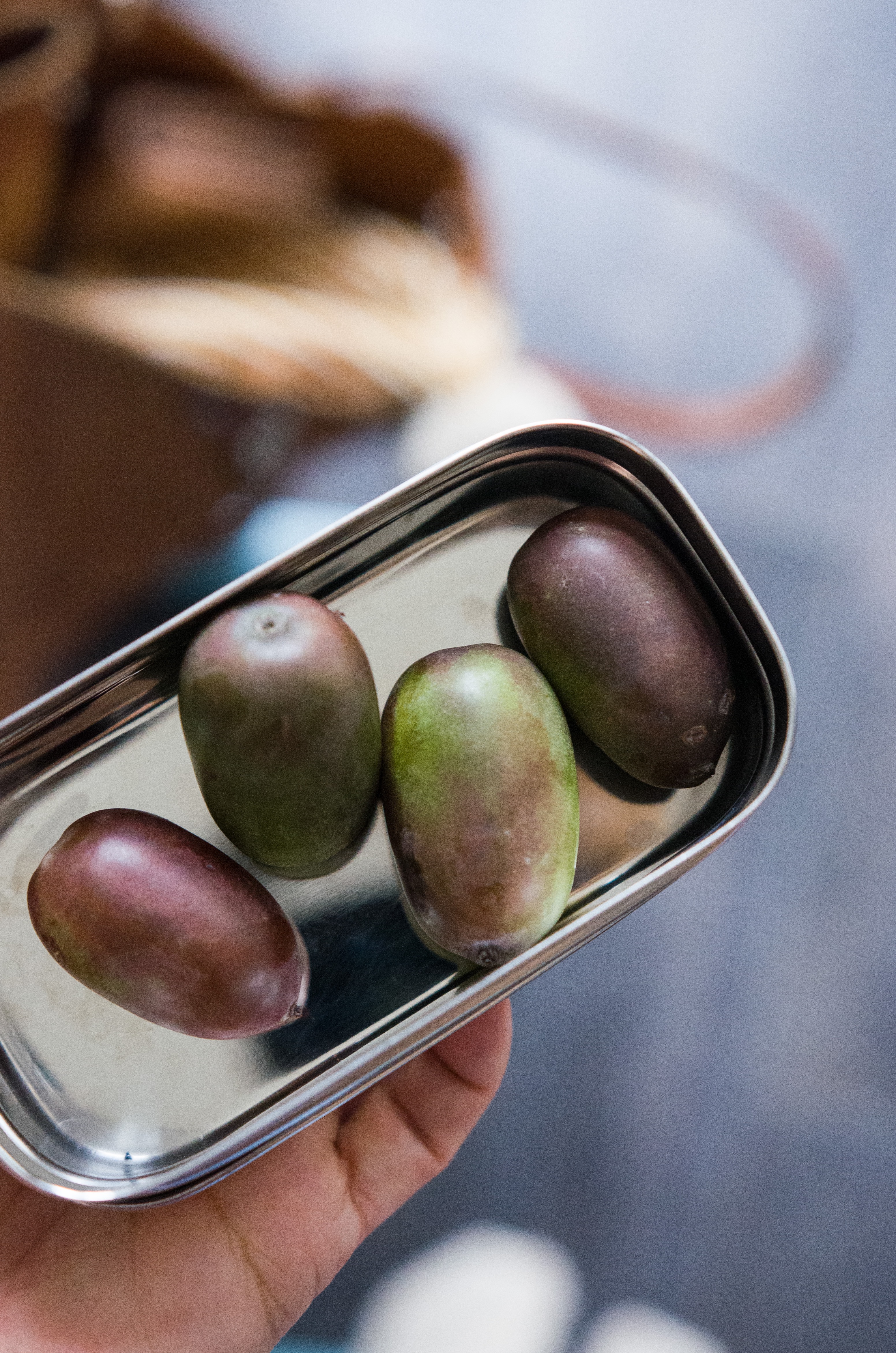 Mini-Kiwis, der perfekte Snack für unterwegs